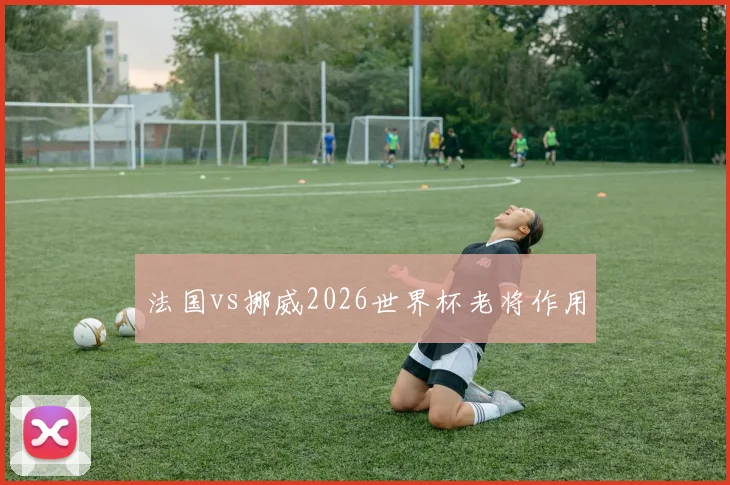 法国vs挪威2026世界杯老将作用