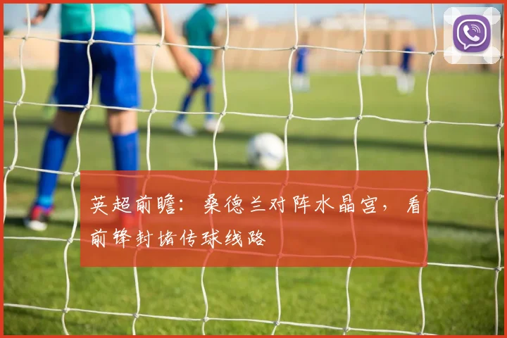 英超前瞻:桑德兰对阵水晶宫,看前锋封堵传球线路