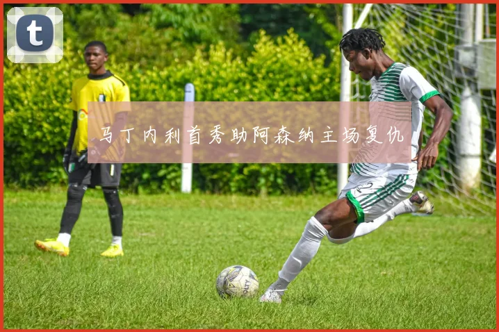 马丁内利首秀助阿森纳主场复仇