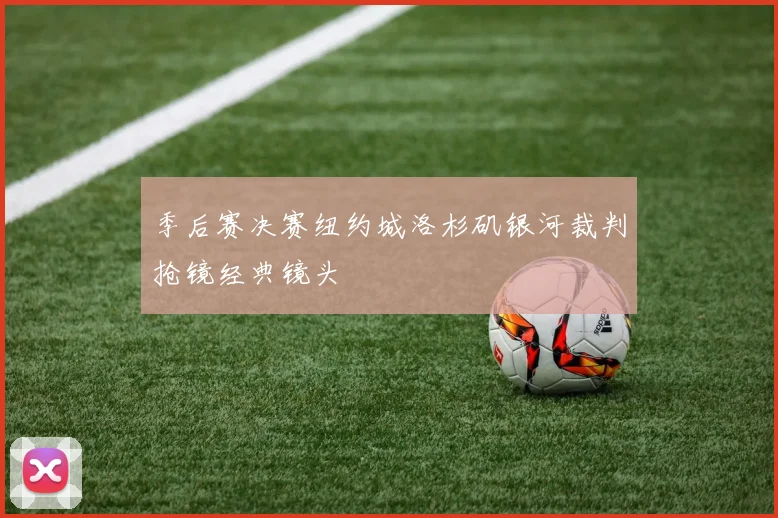 季后赛决赛纽约城洛杉矶银河裁判抢镜经典镜头